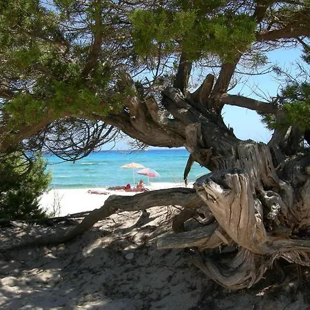 Apartamento Stunning Bouganvillage Tanaunella